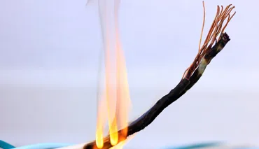 Troubleshooting & Health Checks